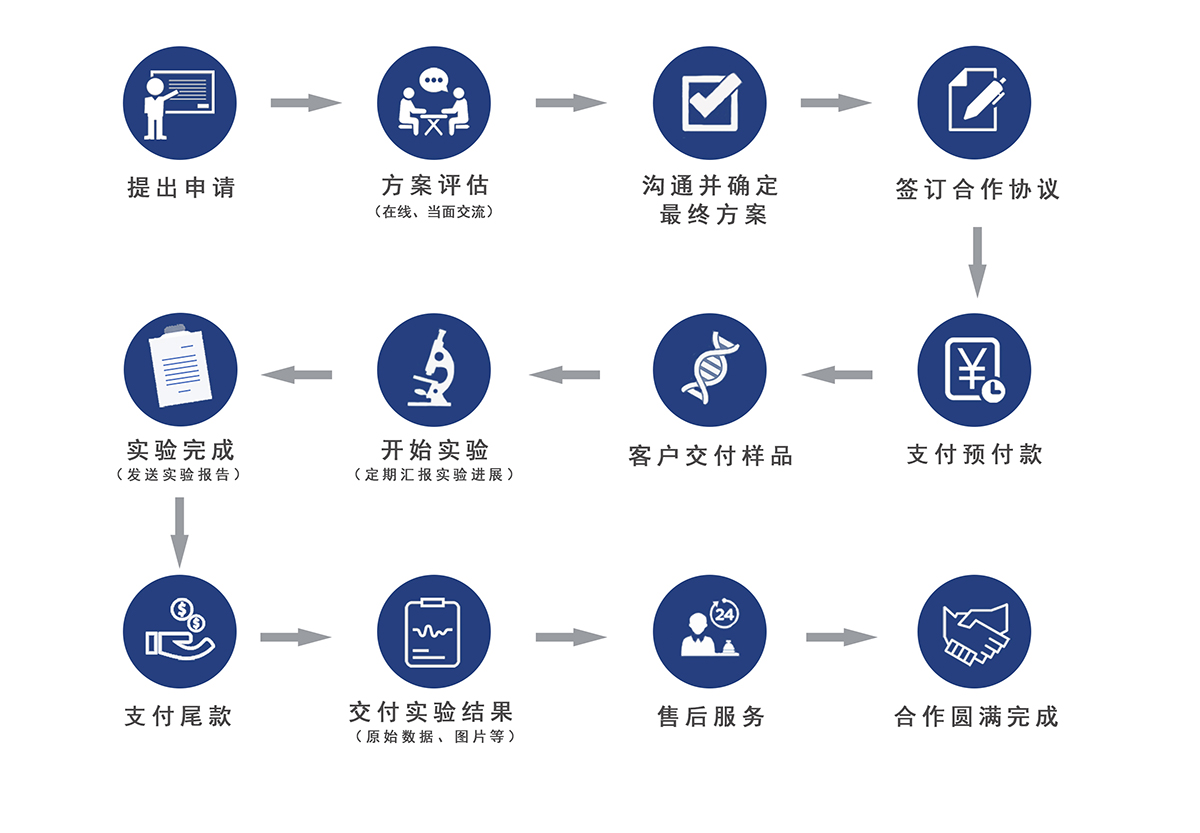 瑞果科技服務流程